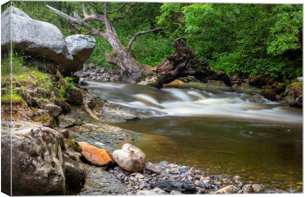 The rocky river Twrch Canvas Print by Leighton Collins