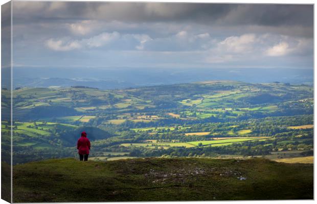 Solitude on the Black Mountain Canvas Print by Leighton Collins