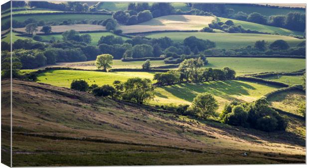 Fields and farmland of South Wales Canvas Print by Leighton Collins