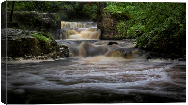 Rushing water at Horseshoe falls Canvas Print by Leighton Collins