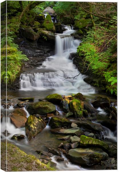 The main waterfall at Melincourt Brook Canvas Print by Leighton Collins