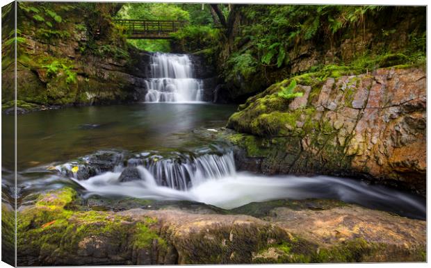 The waterfall behind Dinas Rock Canvas Print by Leighton Collins