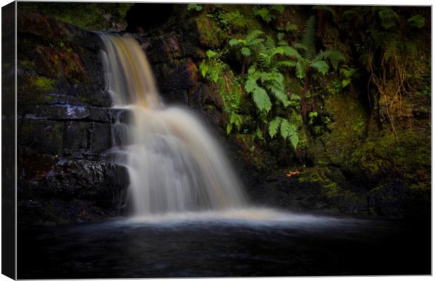 A Brecon Beacons waterfall Canvas Print by Leighton Collins