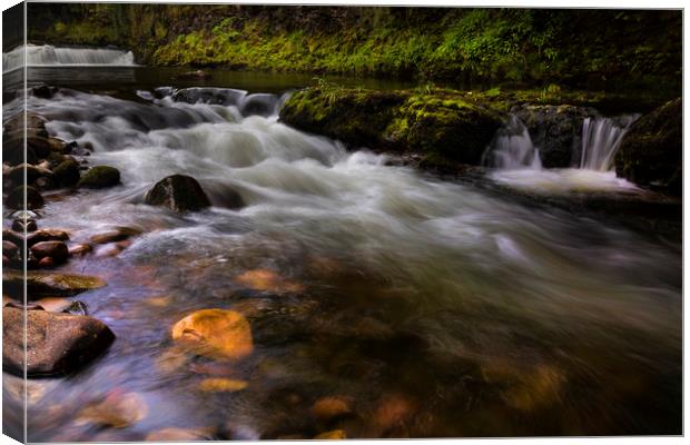 The flowing River Tawe Canvas Print by Leighton Collins