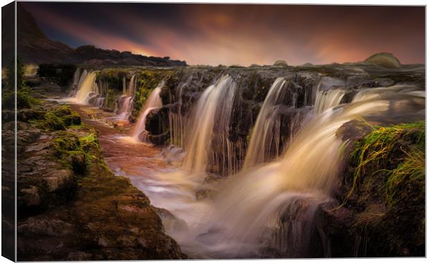 The waterfall and the gully Canvas Print by Leighton Collins