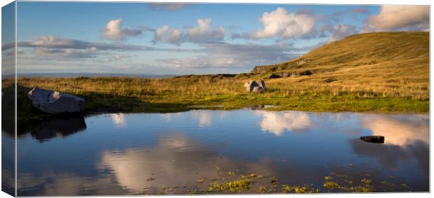 Black Mountain pool Canvas Print by Leighton Collins