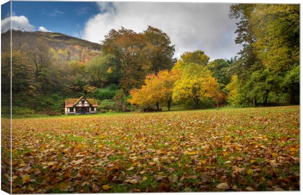 Autumn at Craig-y-Nos Country park  Canvas Print by Leighton Collins