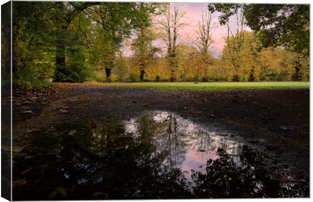 Autumn reflections in a field Canvas Print by Leighton Collins