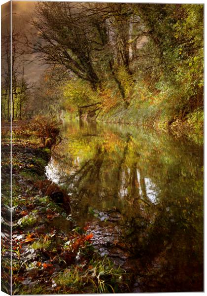 The Clydach to Pontardawe canal Canvas Print by Leighton Collins