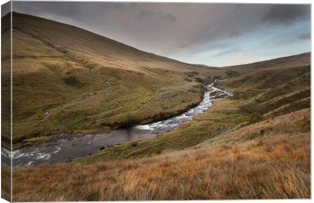 The young River Tawe Canvas Print by Leighton Collins