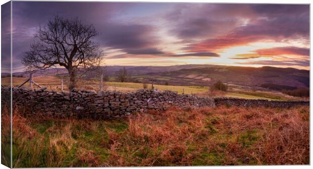 Dawn on the Gwrhyd mountain Canvas Print by Leighton Collins