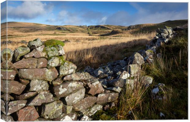 Old dry stone wall at Penwyllt Canvas Print by Leighton Collins