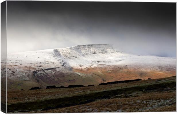 Fan Hir with a dusting of snow Canvas Print by Leighton Collins