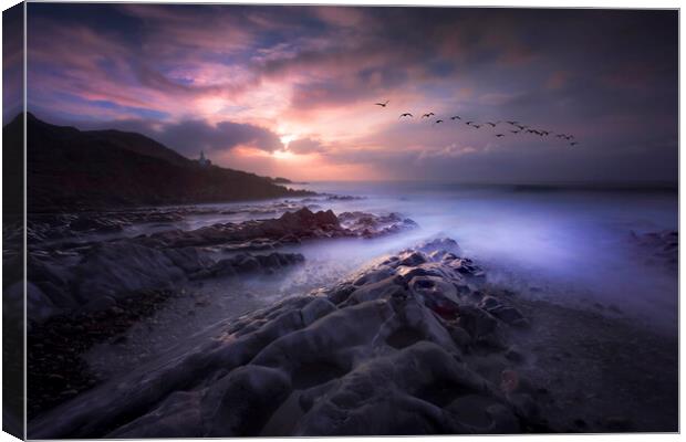 Taking flight over Bracelet Bay Canvas Print by Leighton Collins