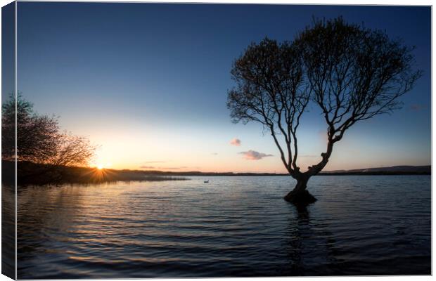 Sunset at Kenfig pool Canvas Print by Leighton Collins