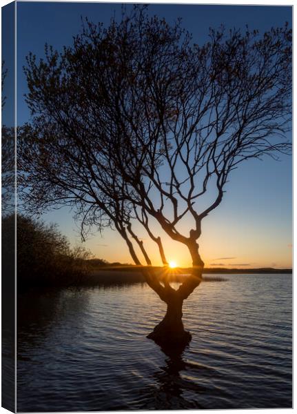 Kenfig pool sunset Canvas Print by Leighton Collins