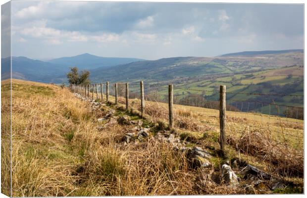 A fence on the Brecon Beacons Canvas Print by Leighton Collins