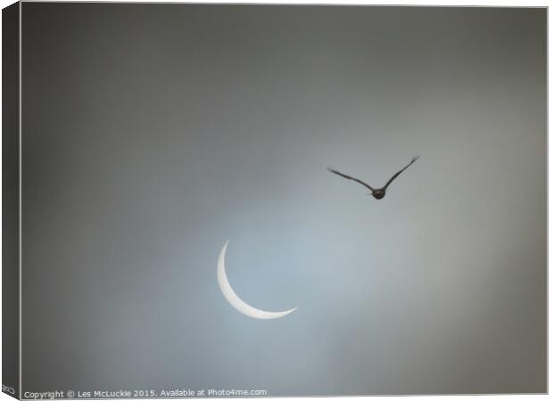 Eclipse takes wing Canvas Print by Les McLuckie