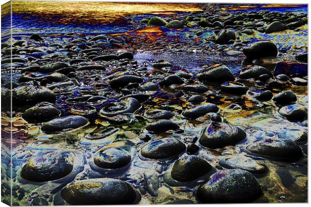 Purple Pebbles Canvas Print by Pete Moyes