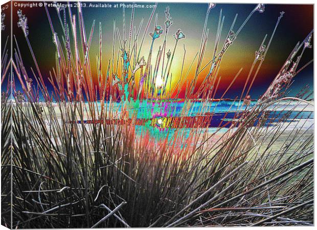 Sunburst Through the Reeds Canvas Print by Pete Moyes