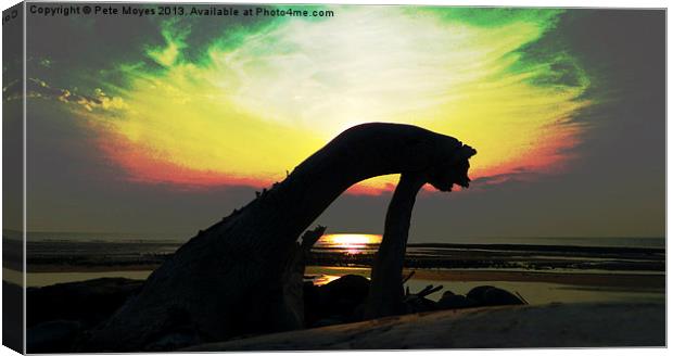 Driftwood # 5 Canvas Print by Pete Moyes