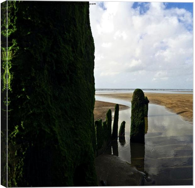 Groynes on the Beach #2 Canvas Print by Pete Moyes