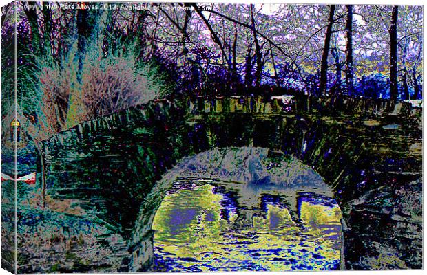 The Old Bridge in Winter # 1 Canvas Print by Pete Moyes