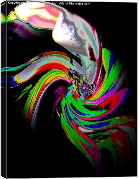 Twist Canvas Print by Pete Moyes