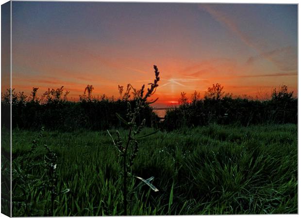 Sunset over the Meadow Canvas Print by Pete Moyes