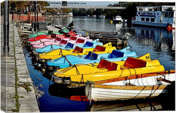 Art work of Leisure boats on the River Dee Canvas Print by Frank Irwin