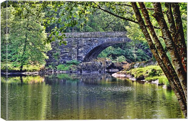 An ‘out of the way’ bridge by Betws-y-Coed Canvas Print by Frank Irwin