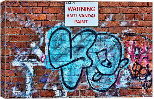 Wall bound graffiti (Does the paint work?) Canvas Print by Frank Irwin