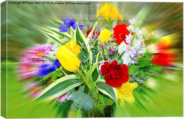 Beautiful and colourful flowers Canvas Print by Frank Irwin