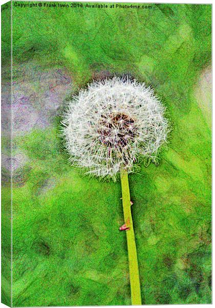 The Dandelion ‘clock’. Artistically displayed Canvas Print by Frank Irwin