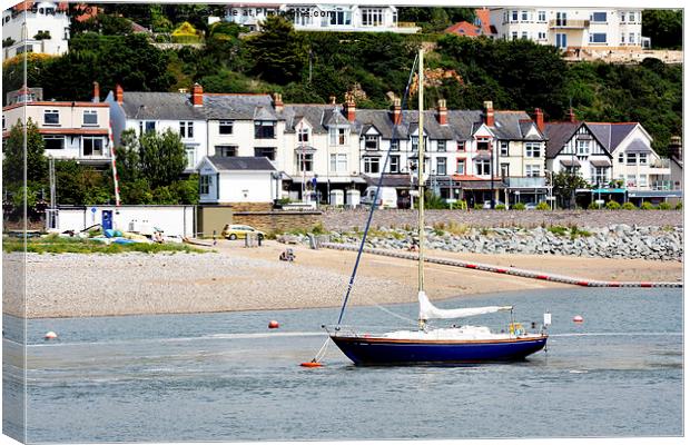 Yacht at anchor in River Conwy Canvas Print by Frank Irwin