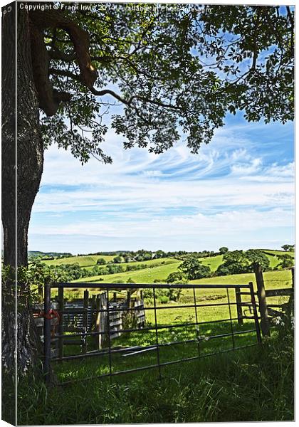 Sheep pens in North wales Canvas Print by Frank Irwin