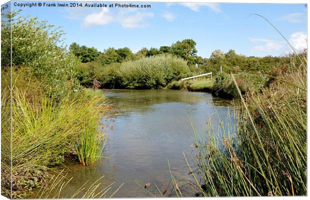 A quiet spot on Thurstaston Common Nature reserve Canvas Print by Frank Irwin