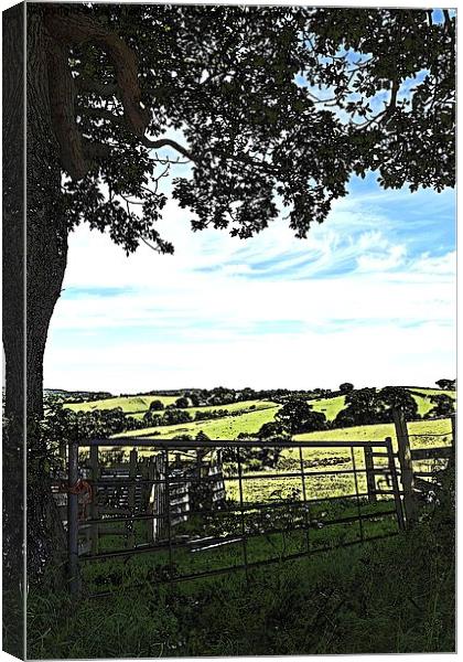  Sheep pens in North wales  Canvas Print by Frank Irwin