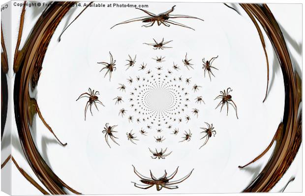  Arachnophobia a go-go Canvas Print by Frank Irwin