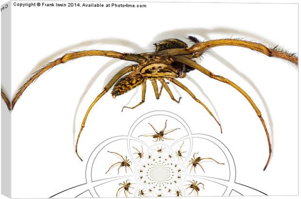  Arachnophobia a go-go Canvas Print by Frank Irwin
