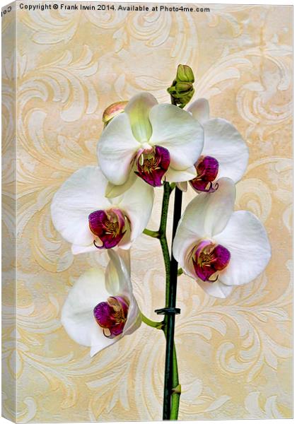  Beautiful White Phalaenopsis Orchid, artistically Canvas Print by Frank Irwin