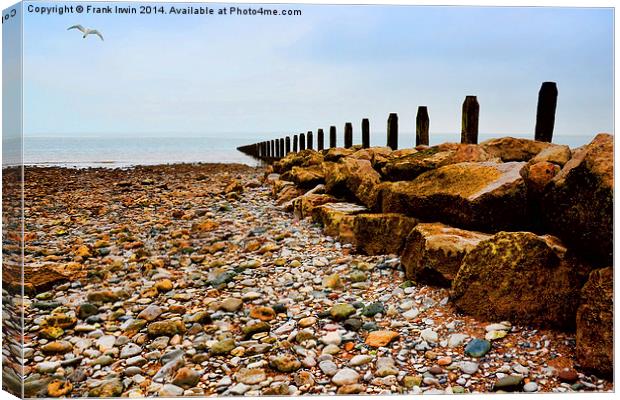 An Ocean  groyne on the North Wales Canvas Print by Frank Irwin