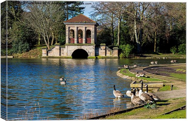  Geese swimming from Birkenhead park's Boathouse Canvas Print by Frank Irwin