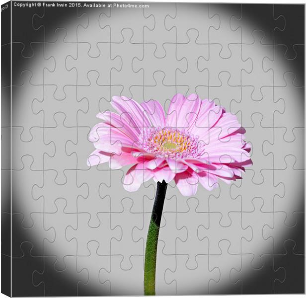 Gerbera as a jig-saw puzzle Canvas Print by Frank Irwin