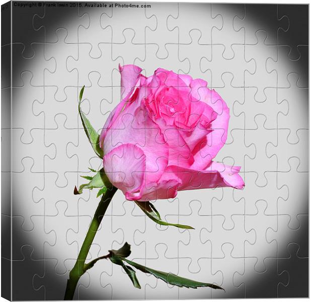  A red rose jig-saw puzzle Canvas Print by Frank Irwin