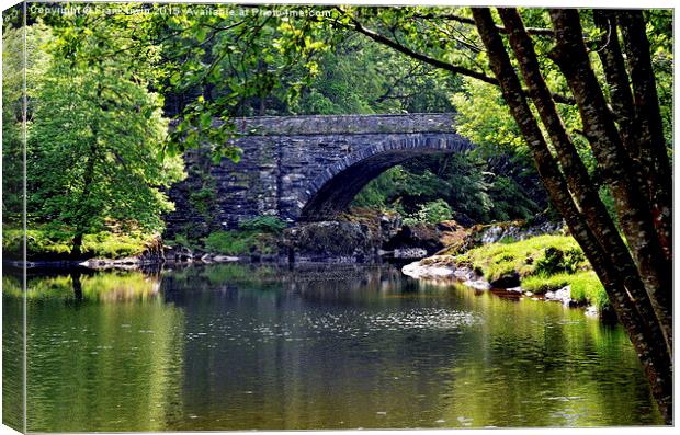 An ‘out of the way’ bridge by Betws-y-Coed Canvas Print by Frank Irwin
