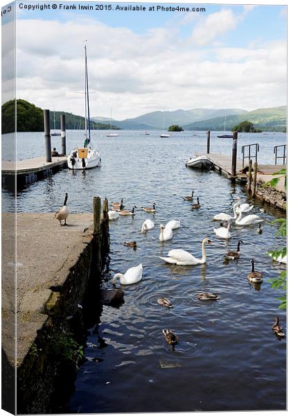  Mooring posts on Windermere Canvas Print by Frank Irwin