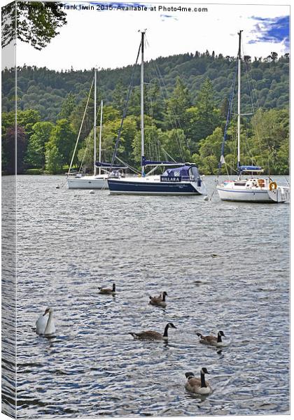 Three yachts lie anchored on Windermere Canvas Print by Frank Irwin