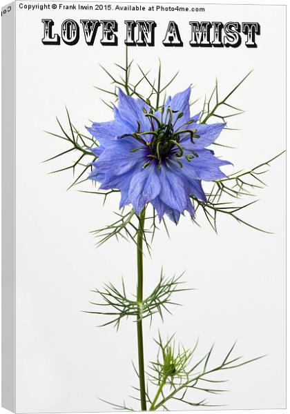 Love in a  mist, "Miss Jekyll" Canvas Print by Frank Irwin