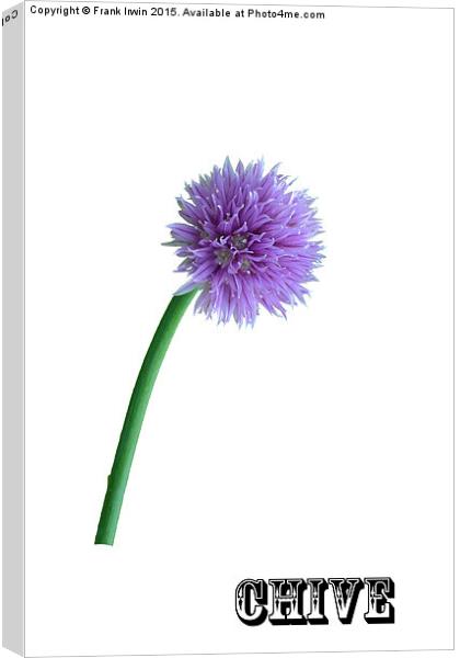 A Pretty Chive Canvas Print by Frank Irwin